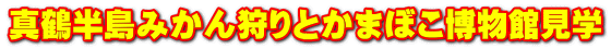 真鶴半島みかん狩りとかまぼこ博物館見学